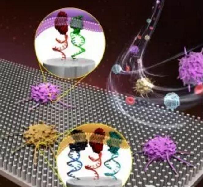 1460076979120932.jpg wsd.jpg