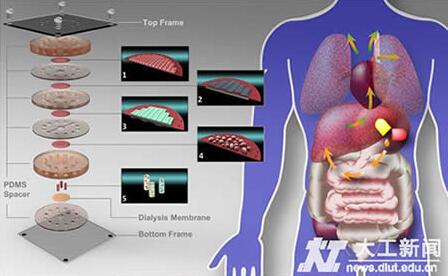 1463533645887057.jpg QQ截圖20160518090655.jpg