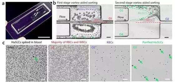 1464569270885335.jpg 20160530084613.jpg