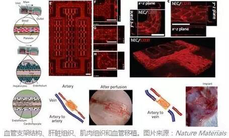 1466132852504504.jpg QQ截圖20160617110413.jpg