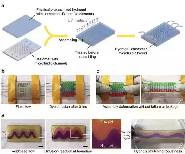 1467593812900655.jpg QQ截圖20160704085349.jpg