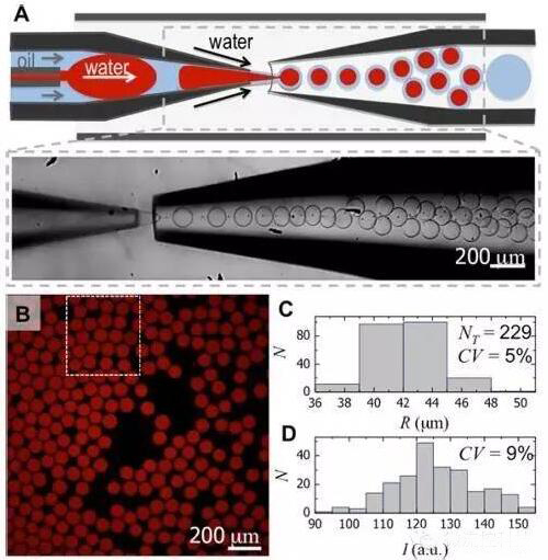 1474183102131711.jpg QQ截圖20160918151027.jpg