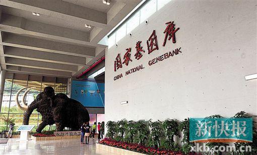 0.jpg 微流控芯片|微流控芯片批量加工