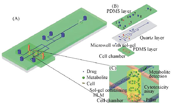 1479714100695221.jpg 微流控芯片實驗室