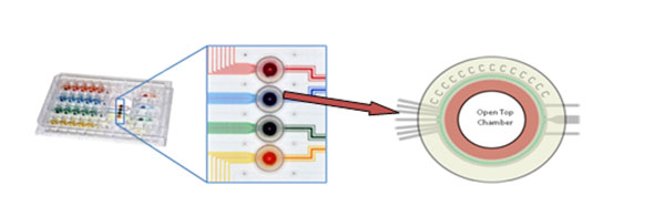 1479714128138613.jpg 微流控實驗室