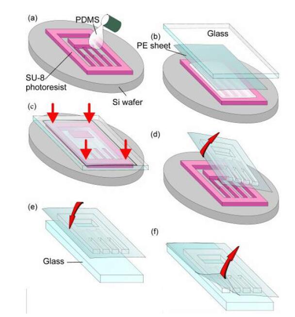 1481267610683043.jpg 1481267610683043.jpg