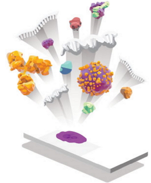 1481874574116469.jpg http://www.twodenim.com/upload/201612/1481874223132107.jpg