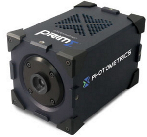 1481874614378593.jpg http://www.twodenim.com/upload/201612/1481874223270928.jpg