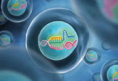 1481874627968215.jpg http://www.twodenim.com/upload/201612/1481874224317660.jpg