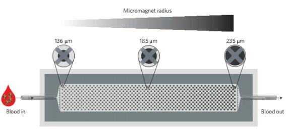 1482212012437245.jpg 20161220133059.jpg