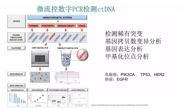 1489540706107196.jpg 5091118.jpg