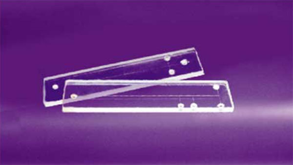 1501117899415471.jpg yyxy600.jpg