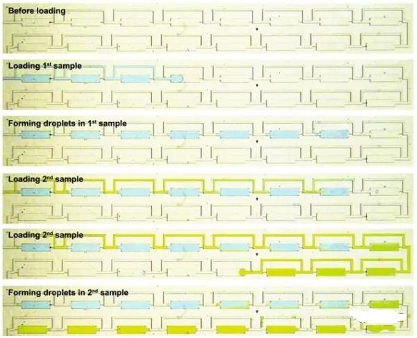 精準(zhǔn)癌癥治療新突破，24小時(shí)出癌細(xì)胞藥敏結(jié)果