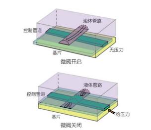 利用多層軟蝕刻制備微流控壓力可控閥門(mén)的示意圖