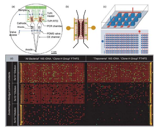 集成微流控芯片用于聚合酶鏈?zhǔn)椒磻?yīng)(PCR)應(yīng)用實(shí)例 (a) 多通道 RT-PCR-CE 芯片結(jié)構(gòu)示意圖, 在 1 塊 100 mm 直徑的芯片上集成有阻抗加熱元件、加熱電極引出條、Ti/Pt 感應(yīng)溫度傳感器、PCR 反應(yīng)腔室、電泳分離通道和 PDMS 氣動(dòng)微閥; (b) 反應(yīng)腔室區(qū)域放大圖[26]; (c) 數(shù)位式集成化 PCR 微流控芯片示意圖, 深色, 反應(yīng)微腔室; 淺色, 微閥; (d) 數(shù)位式集成 PCR 反應(yīng)結(jié)果圖