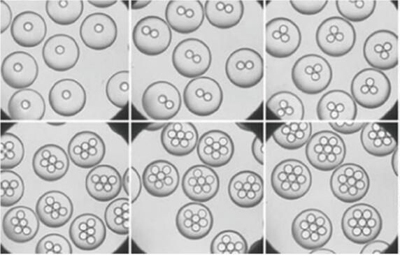 汶顥股份微流控液滴技術