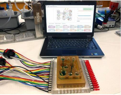 研究人員將多器官平臺連接到相關(guān)軟件，每個孔都連接有一個微型生理系統(tǒng)，如肺、腸道，或中樞神經(jīng)系統(tǒng)，流體流經(jīng)通道以模擬生理心臟輸出