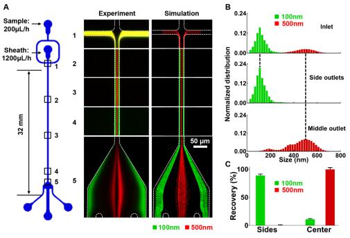 微流控芯片的結構示意圖及不同尺度納米顆粒分離的實驗觀測與數值模擬對比