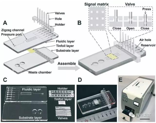 化學發光系統 化學發光系統