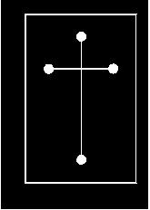 微流控玻璃電泳芯片