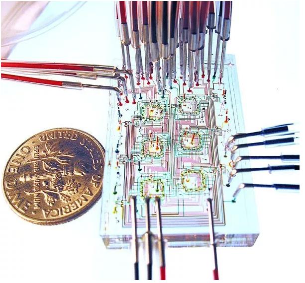 微流控器官芯片 微流控器官芯片