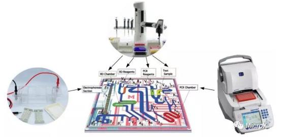 PCR反應，DNA電泳在芯片上的整合