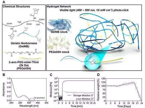 200ul微量管為基礎的微流控裝置 200ul微量管為基礎的微流控裝置