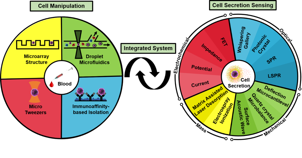 基于微流體系統(tǒng)的單細(xì)胞生物檢測技術(shù) 基于微流體系統(tǒng)的單細(xì)胞生物檢測技術(shù)