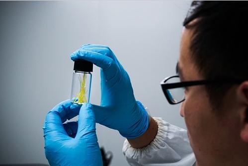 復(fù)旦大學(xué)俞燕蕾團(tuán)隊(duì)研發(fā)出全新概念的光控微流體新技術(shù)