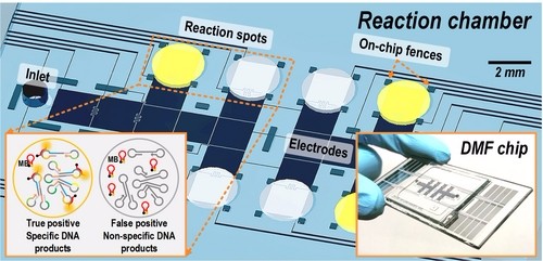 數位微流控系統寄生蟲檢測工具
