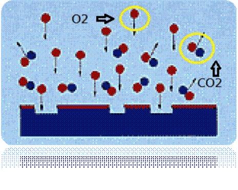 圖二為已被電離化的氣體分子團(tuán)（Plasma）對被處理材料的分子團(tuán)進(jìn)行撞擊及反應(yīng)。
