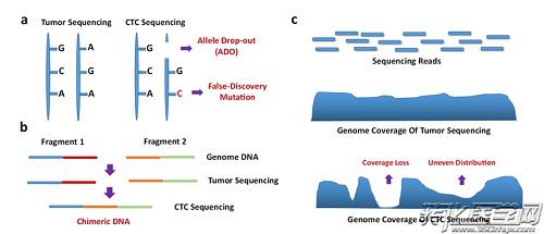 CTC測序的挑戰與未來展望 CTC測序的挑戰與未來展望