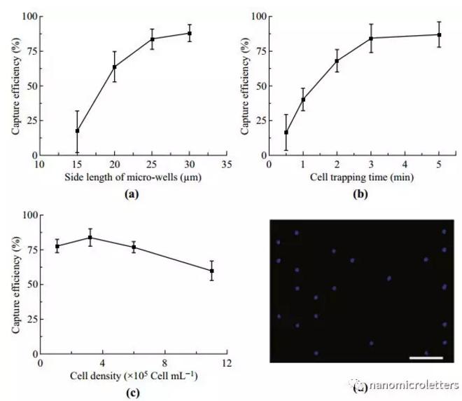 圖3：細胞俘獲效率的優化