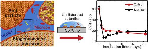 采用濕潤性圖案化微流控芯片技術用于土壤生物地球化學界面的形成過程研究 采用濕潤性圖案化微流控芯片技術用于土壤生物地球化學界面的形成過程研究