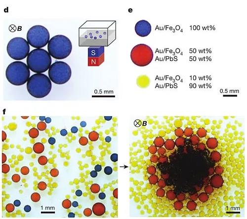 圖2. 液滴對外加磁場的響應。圖片來源:Nature 圖2. 液滴對外加磁場的響應。圖片來源:Nature