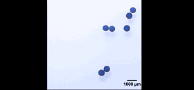 圖2. 液滴對外加磁場的響應。圖片來源:Nature 圖2. 液滴對外加磁場的響應。圖片來源:Nature