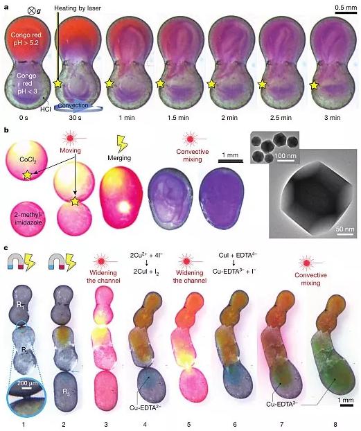 圖6. 動態控制的液滴化學反應器。圖片來源:Nature 圖6. 動態控制的液滴化學反應器。圖片來源:Nature