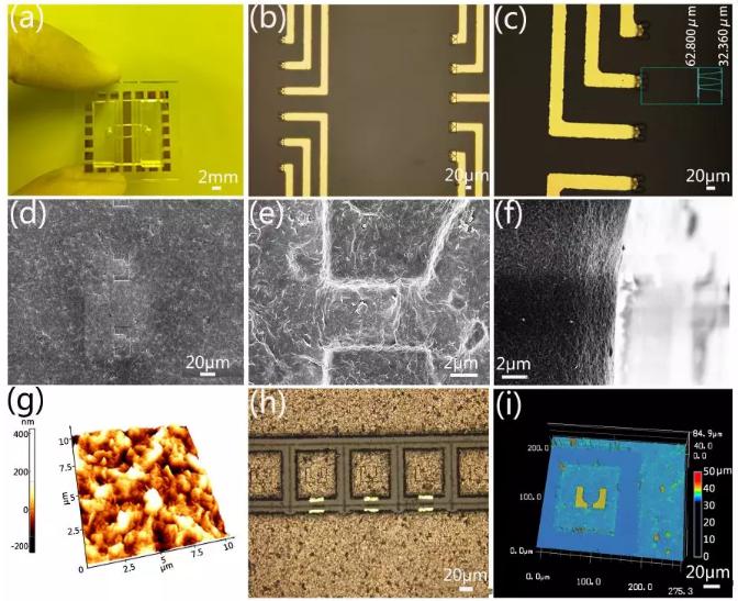 微流控芯片的實物圖 微流控芯片的實物圖