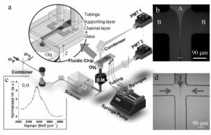 圖3CARS細(xì)胞計(jì)量檢測系統(tǒng)和芯片上流體聚焦效應(yīng)