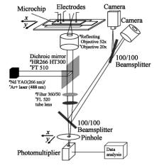 圖1紫外和可見激光誘導(dǎo)熒光檢測系統(tǒng)
