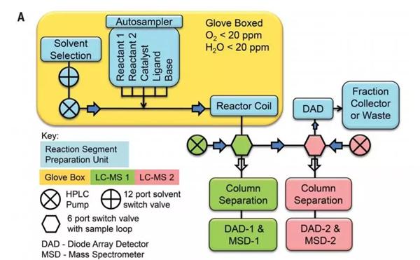連續流平臺的自動取樣-反應-分析平臺示意圖?？紤]到待測的化學物質可能對空氣和濕度敏感，作者將反應器組裝在手套箱環境中（圖片來源：《科學》）