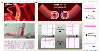 彈性體高分子膜基材料微流控技術(shù) 彈性體高分子膜基材料微流控技術(shù)