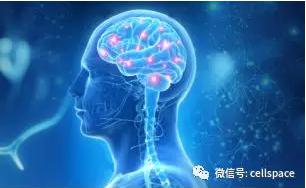 從實際應用出發，讓標志物助力精準診斷