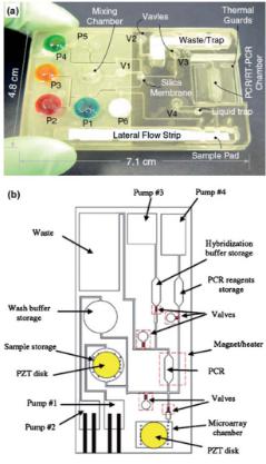 聚碳酸酯微流體盒，其中袋填充染料更好的可視化，他們被設(shè)計(jì)來(lái)存儲(chǔ)各種試劑和緩沖區(qū)