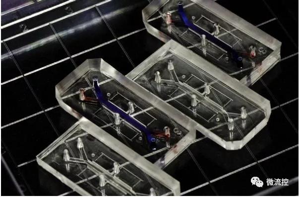 膠原蛋白膜有助提升器官芯片準(zhǔn)確度