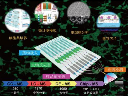 小芯片 大用途 微流控芯片細(xì)胞分析 小芯片 大用途 微流控芯片細(xì)胞分析