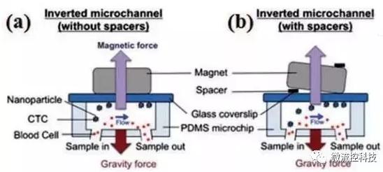圖3:基于免疫磁珠分離CTCs的微流控系統(tǒng) 圖3:基于免疫磁珠分離CTCs的微流控系統(tǒng)