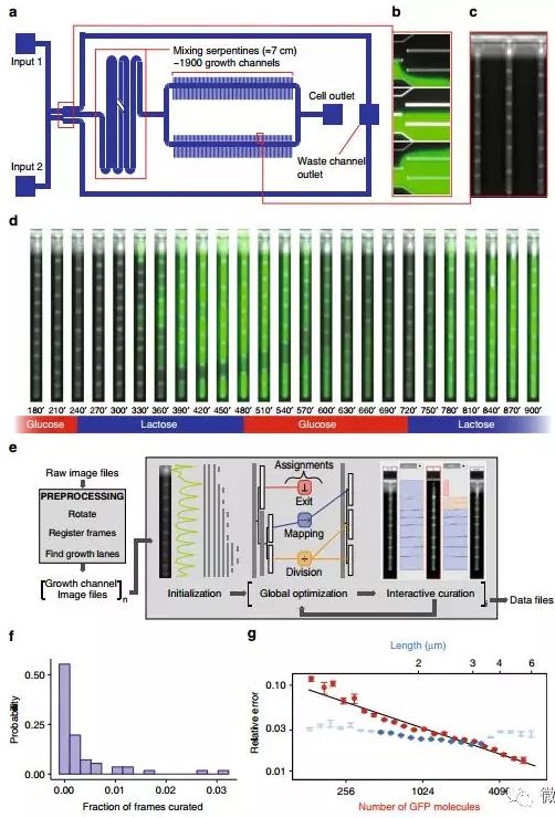 球最小的實驗室, 集成微流控動態(tài)可控監(jiān)測單細胞基因調控 球最小的實驗室, 集成微流控動態(tài)可控監(jiān)測單細胞基因調控