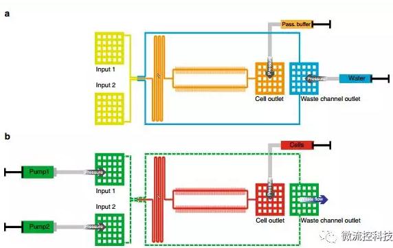 球最小的實驗室, 集成微流控動態(tài)可控監(jiān)測單細胞基因調控 球最小的實驗室, 集成微流控動態(tài)可控監(jiān)測單細胞基因調控