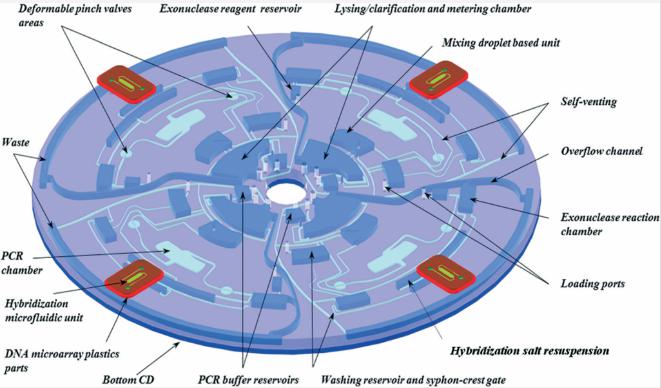 圖2:Lab-on-Disc設備的顯示,顯示了四個平行測試以及各個組件,指示裂解,PCR擴增,外切核酸酶反應,微陣列雜交等功能。 圖2:Lab-on-Disc設備的顯示,顯示了四個平行測試以及各個組件,指示裂解,PCR擴增,外切核酸酶反應,微陣列雜交等功能。